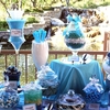 Tiffany's Themed Wedding Candy Buffet