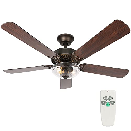 best ceiling fan with light and remote