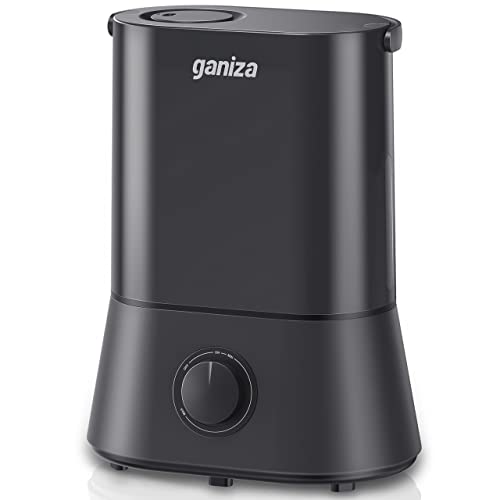 best humidifier for dry air in house