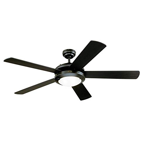 best ceiling fan to buy