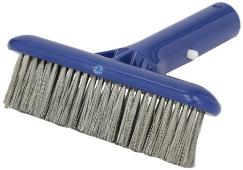 Pentair R500012 410 Molded Back Stainless Steel Algae Brush for Plaster, Concrete and Gunite Pools, 6-Inch Pentair R500012 410 Molded Back Stainless Steel Algae Brush for Plaster, Concrete and Gunite Pools, 6-Inch