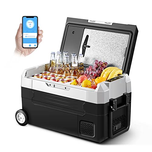 best 12 volt car refrigerator