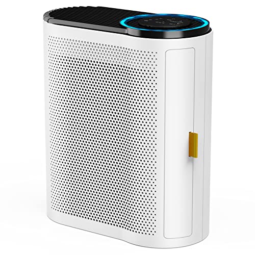 best air purifier for 500 square feet