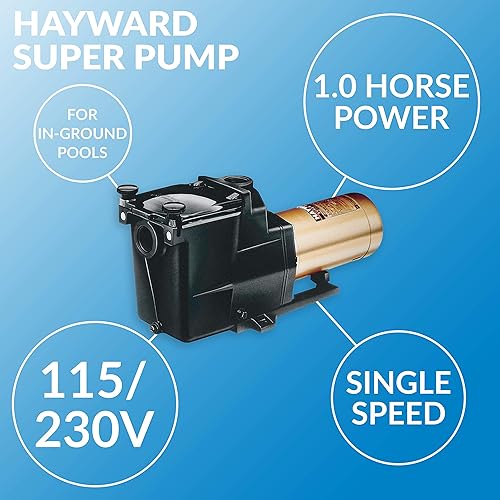 best pool pump for inground pool